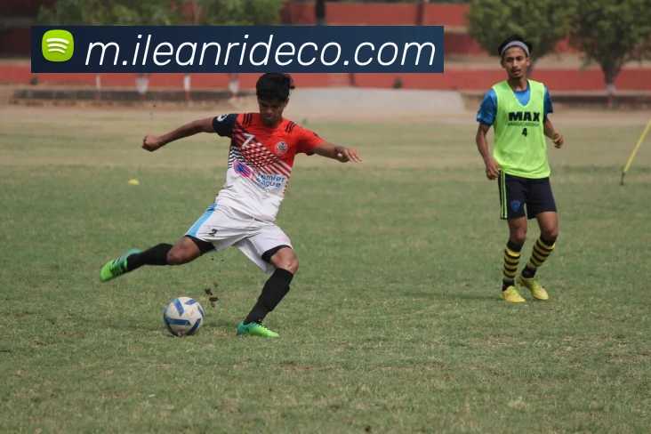 DAFA.COM平台生态图